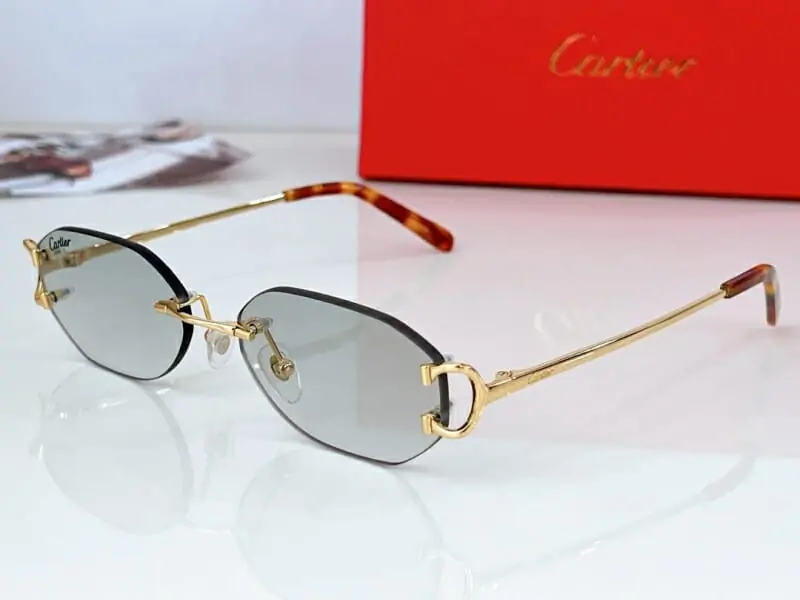 cartier aaa qualite lunettes de soleils s_11aa205